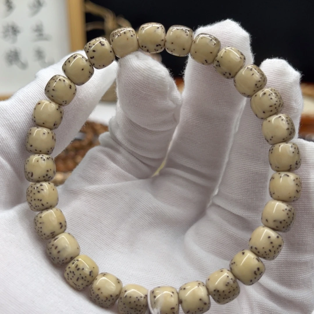 手串星月菩提绿包白8/7河豚半壁大白肚皮高对比度