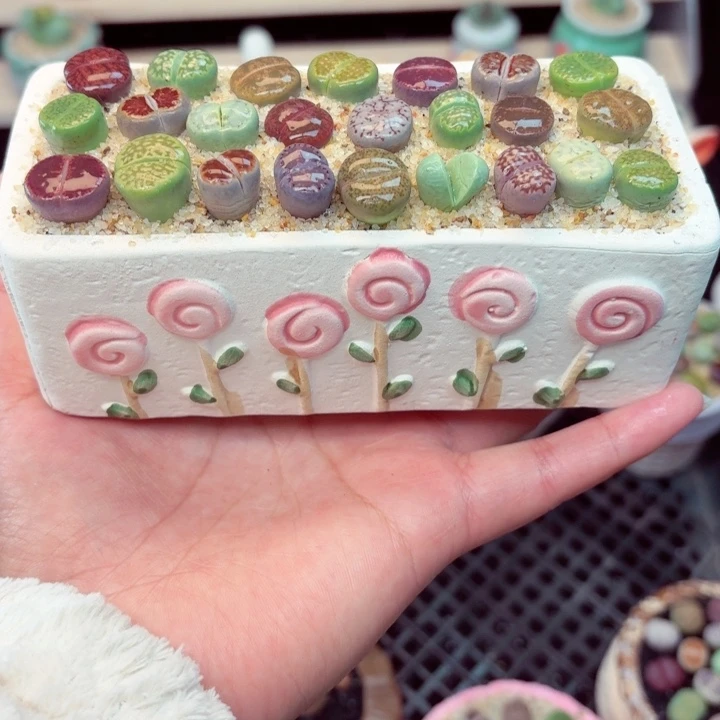 6013零下地区记得拍保温箱