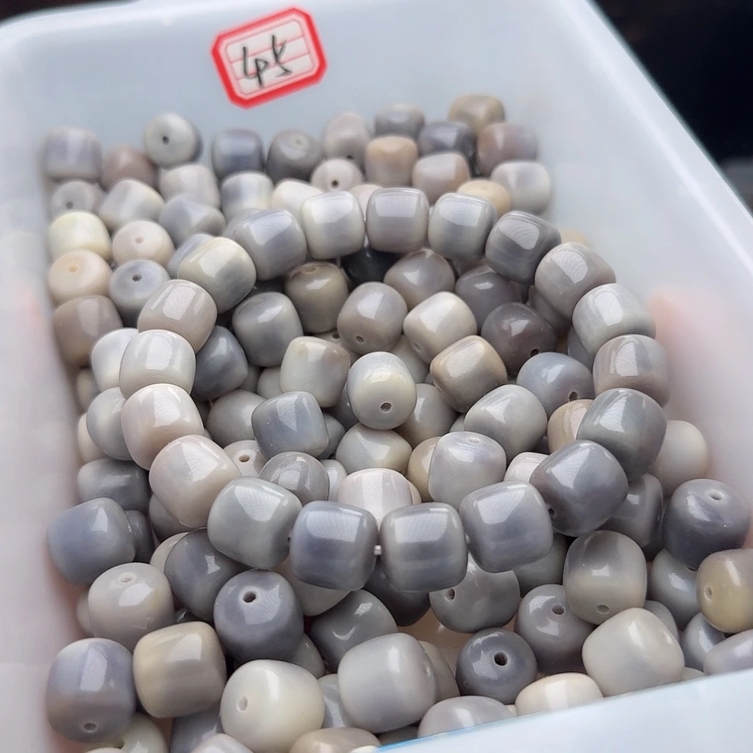 吊坠菩提根/象牙果20颗深海14干磨正桶