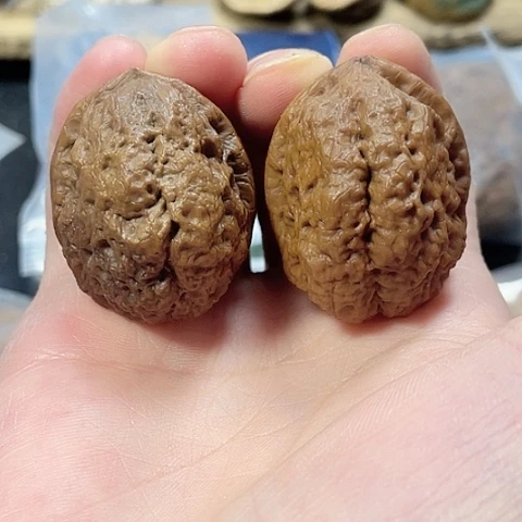 文玩核桃把件大理卧龙带彩磕尖39