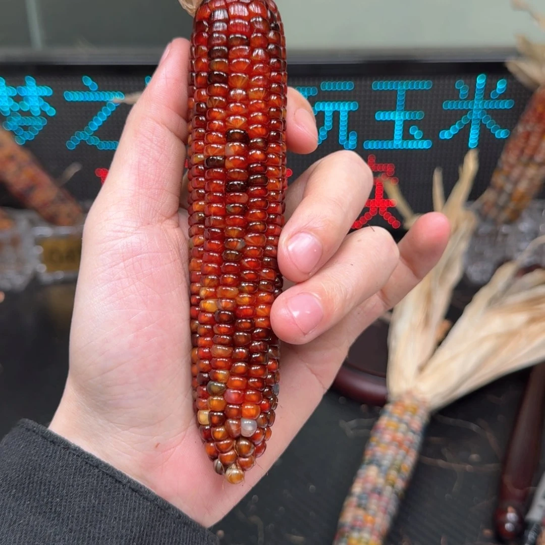 柏香籽/百香籽吊坠ʚ**ɞ