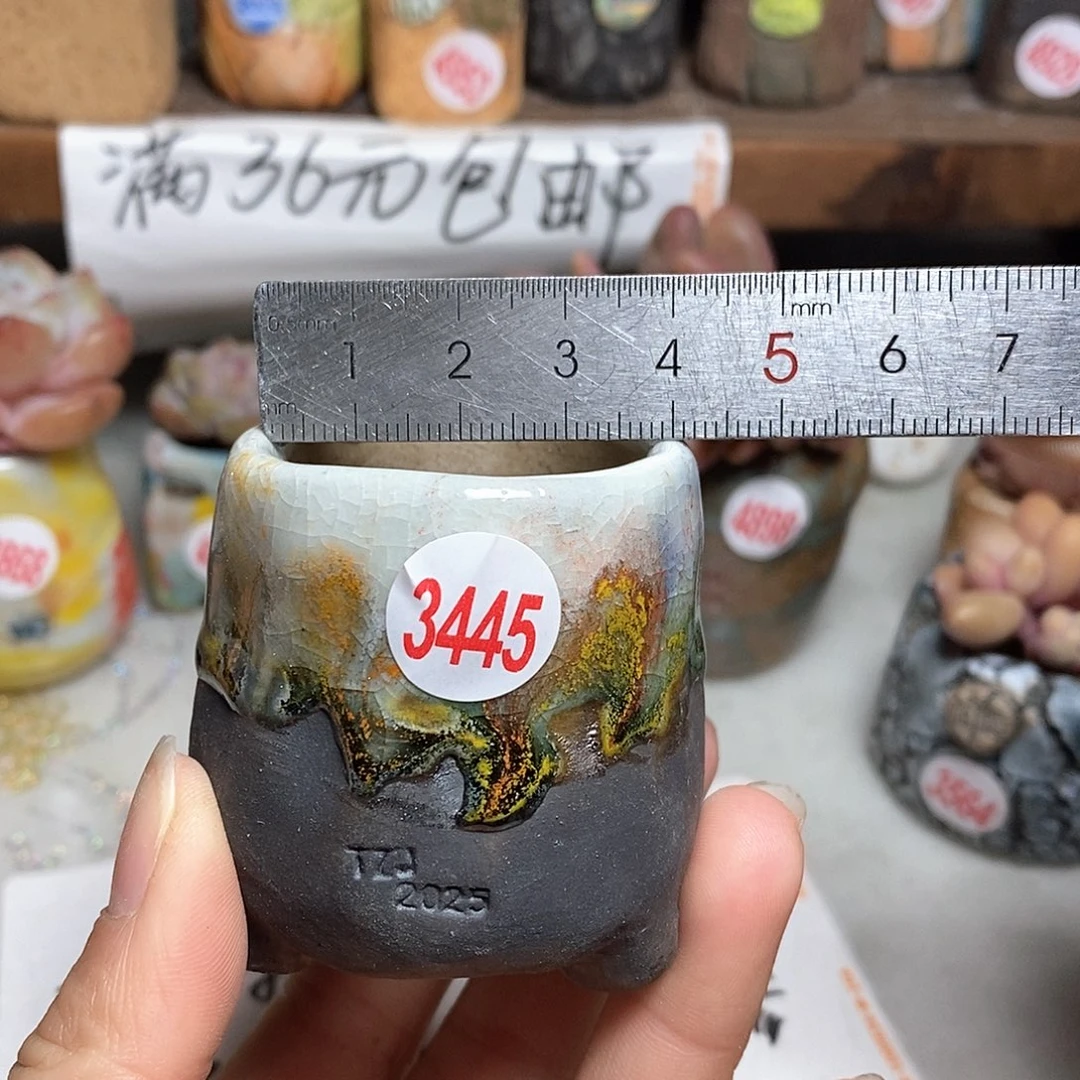 红陶拍5送一个小