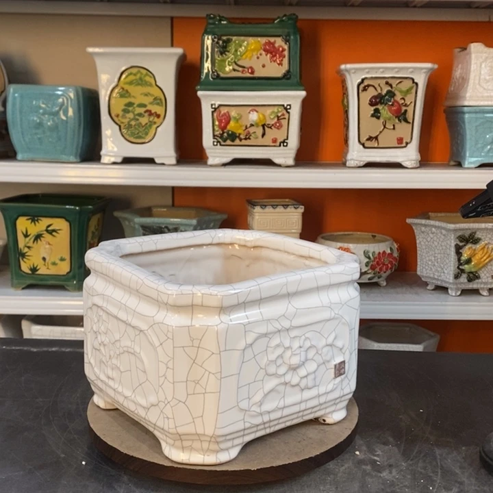 红陶听**花花盆的颜色是蓝色