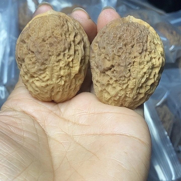 文玩核桃把件云南铁核桃基地82