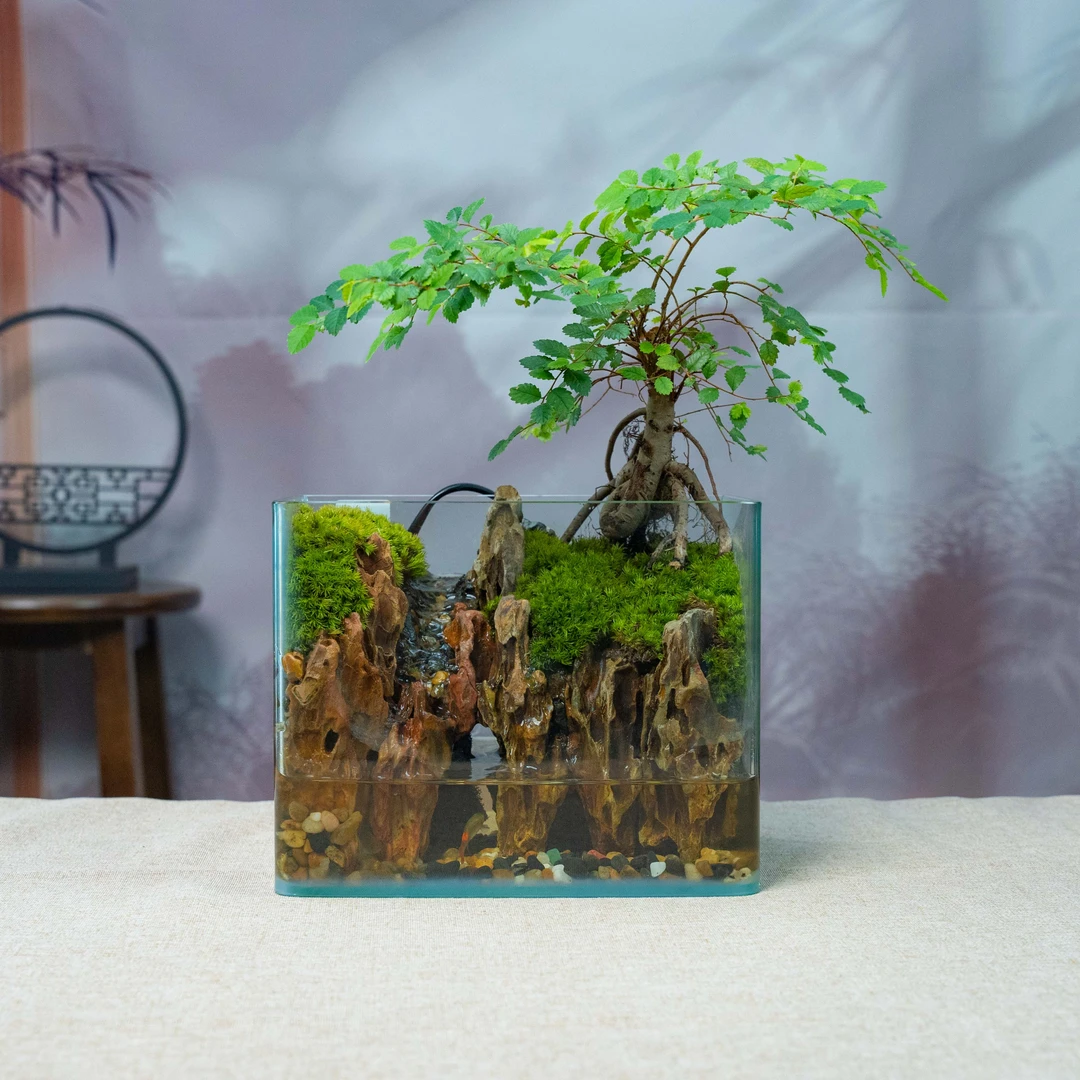 【無也】流水景观榆树-尺寸长20宽14高16厘米成品创意桌面景观