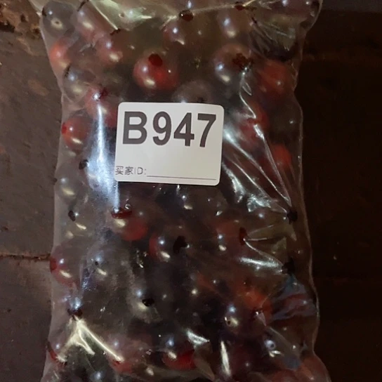 大果紫檀（缅甸花梨）947