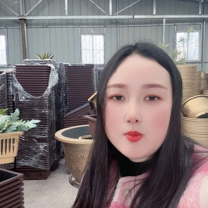 复合新**窗马曹40花盆5个