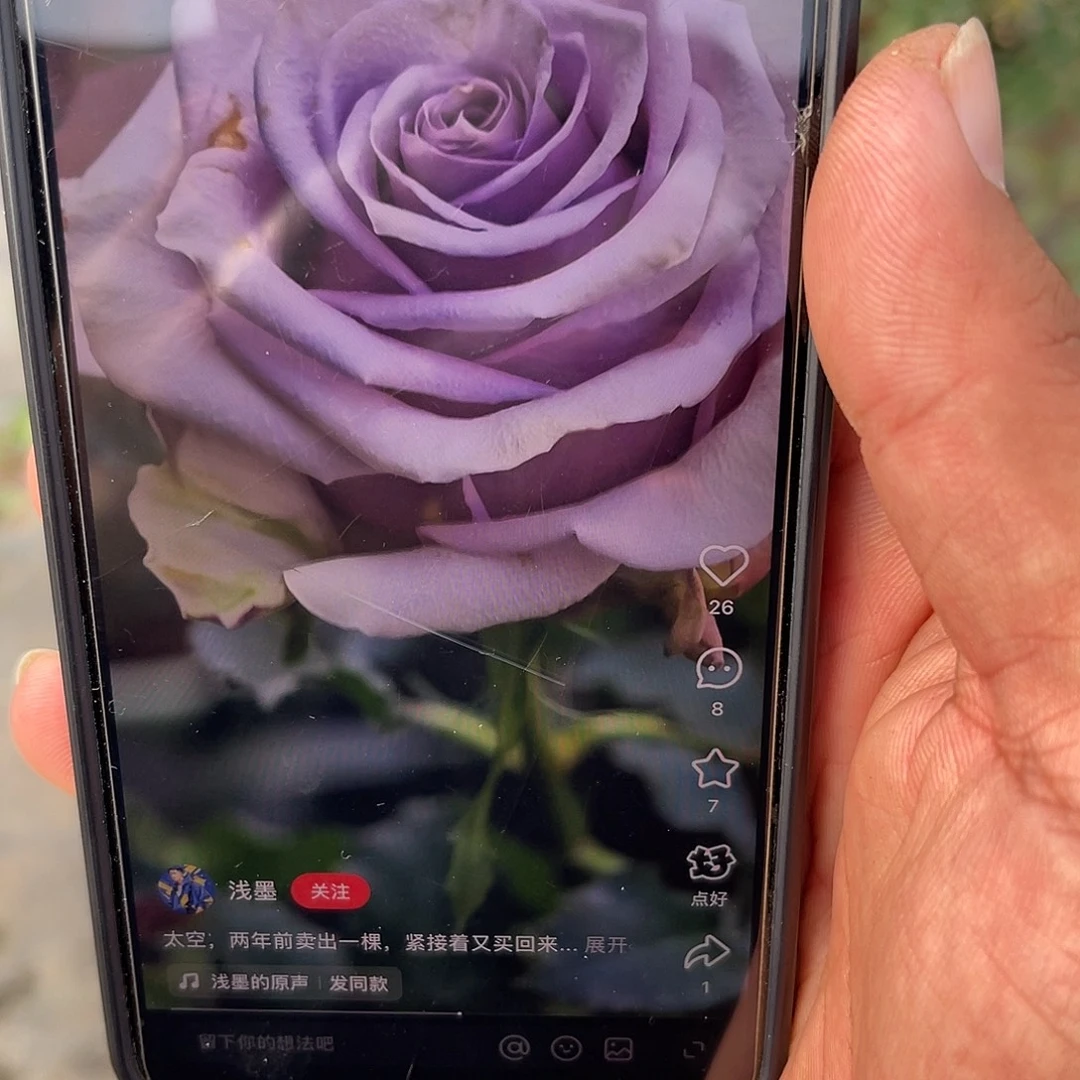 无花朵——太空 福利款