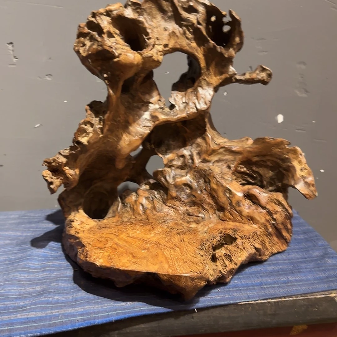 语***昕木一物一拍实物实拍