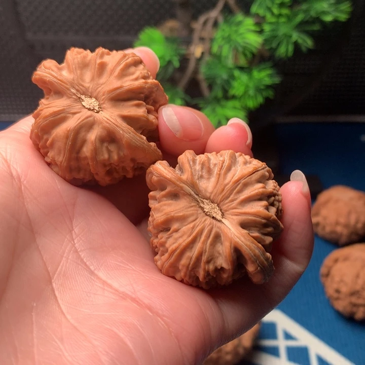 文玩核桃吊坠白狮子