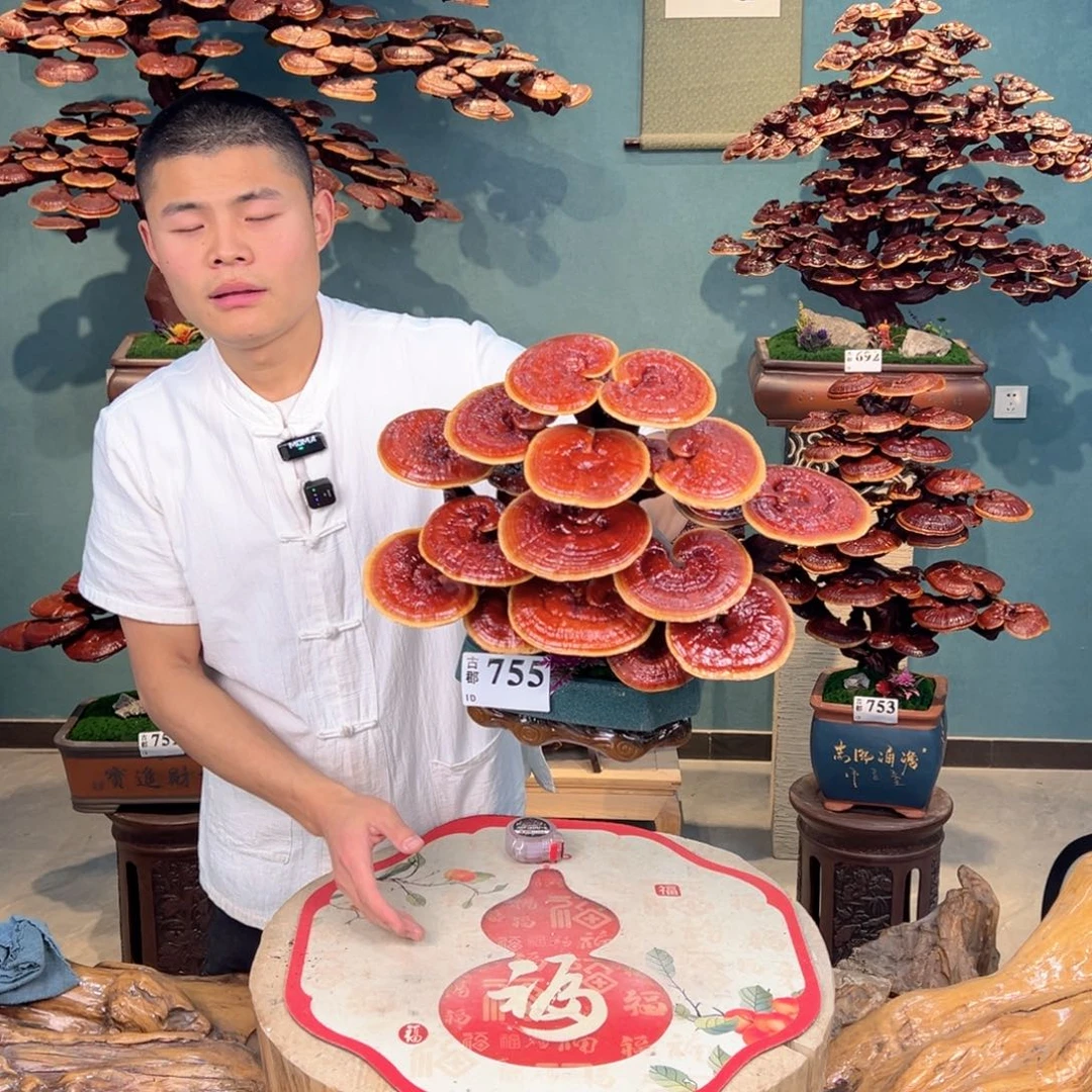 无花朵7888888888888