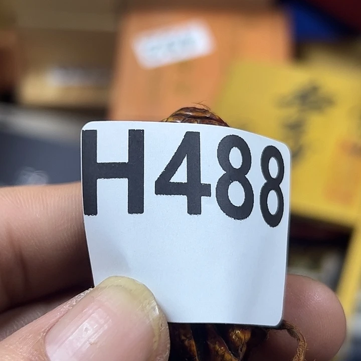 用***0非洲紫檀（红花梨）488