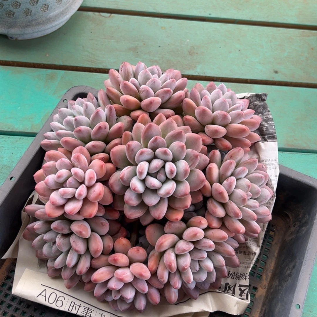 11111111111111111111111