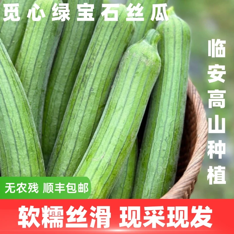 【觅心农场】自然生态种植绿宝石丝瓜青丝瓜口感丝滑软糯微甜