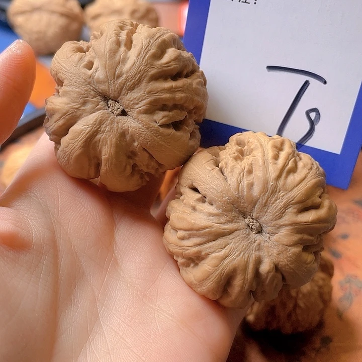 文玩核桃把件随**扬 文玩核桃9