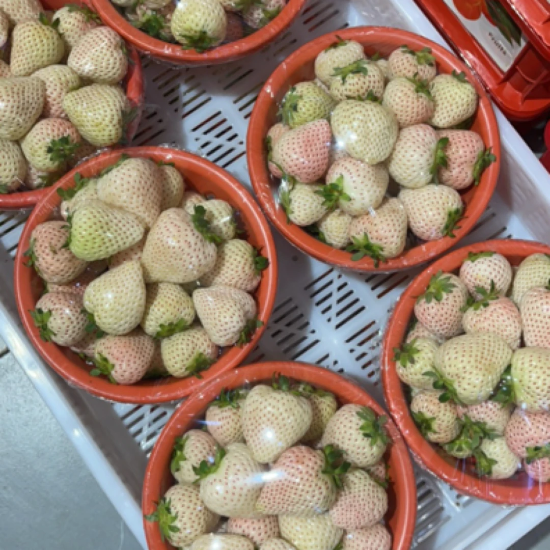 淡雪白草莓一盆（山东）净重400g