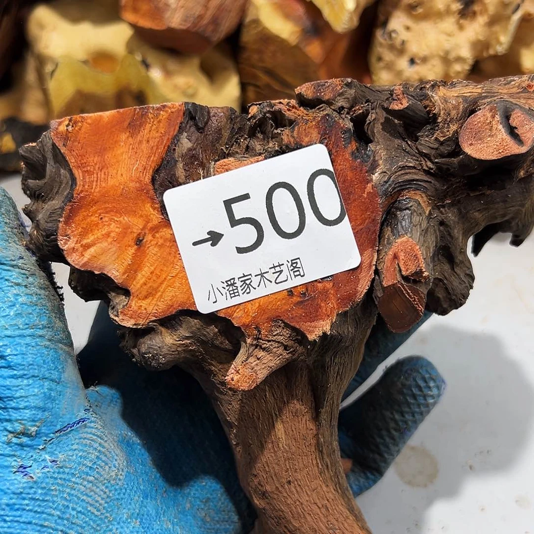 香榧木超*哥火琉璃……火琉璃
