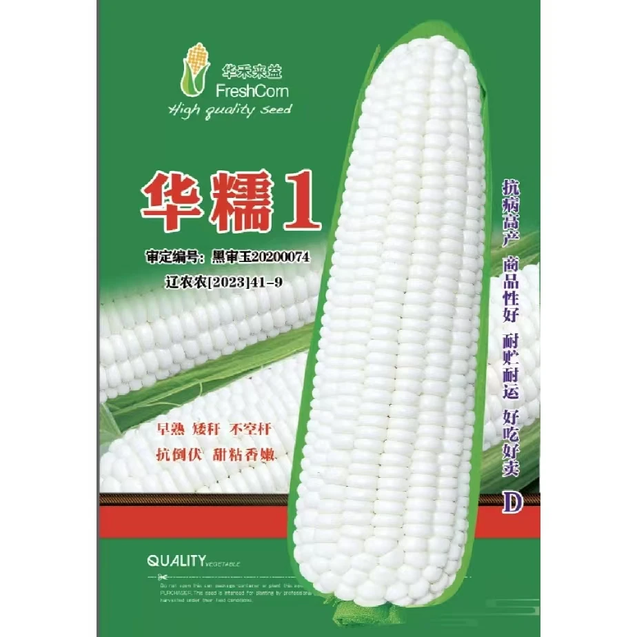 华糯1 鲜食白甜糯玉米种子 软糯香甜型 粒粒饱满 棒大不秃尖