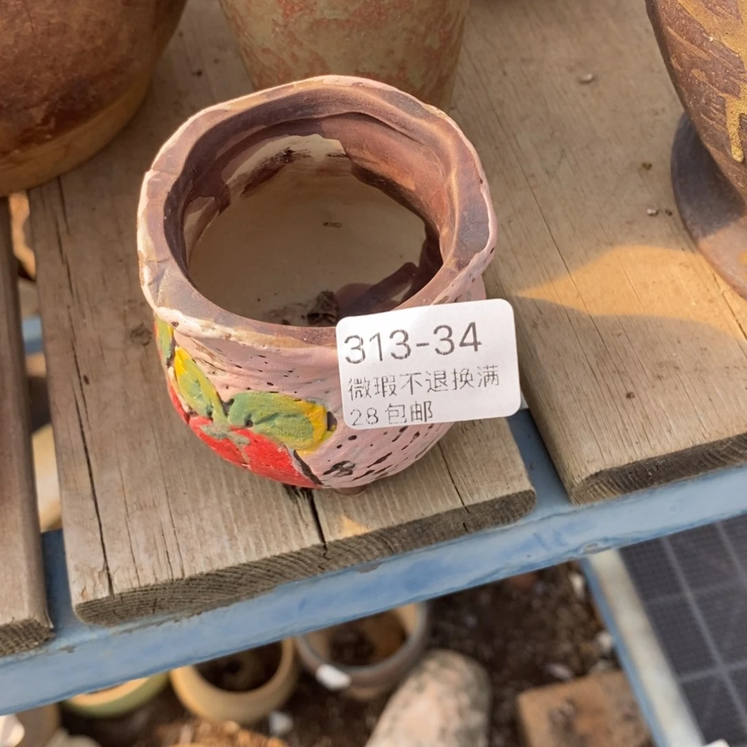 用****634号多肉盆一个呀