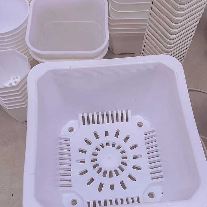 220白方口21高15一组10个