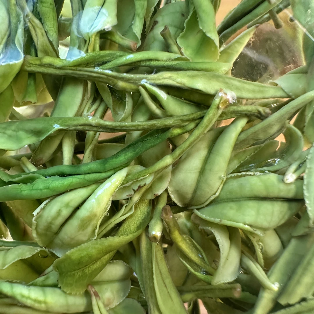 安吉白茶125g手工茶绿茶