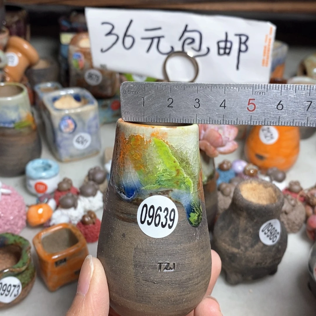 拍5送一个小礼物