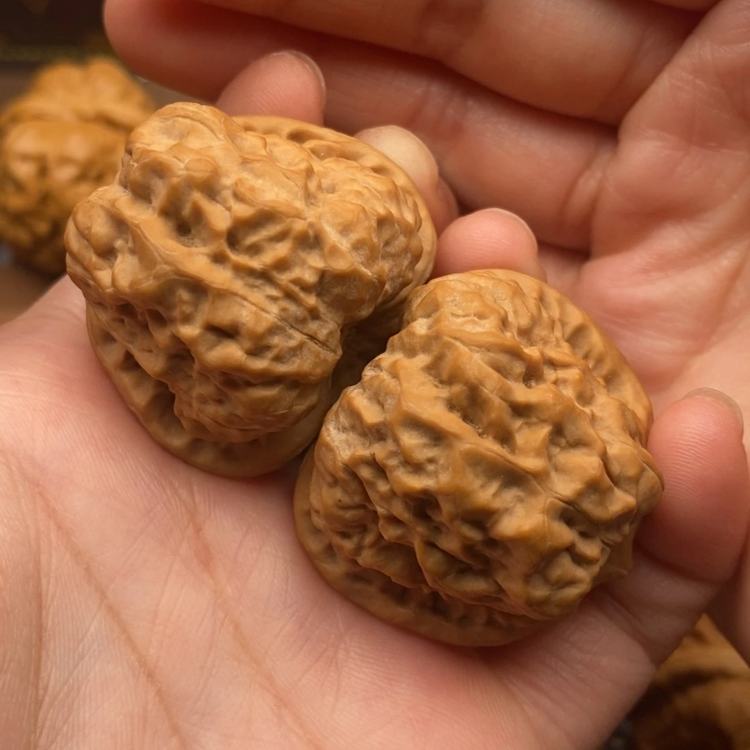 文玩核桃把件在*持全品边38左右