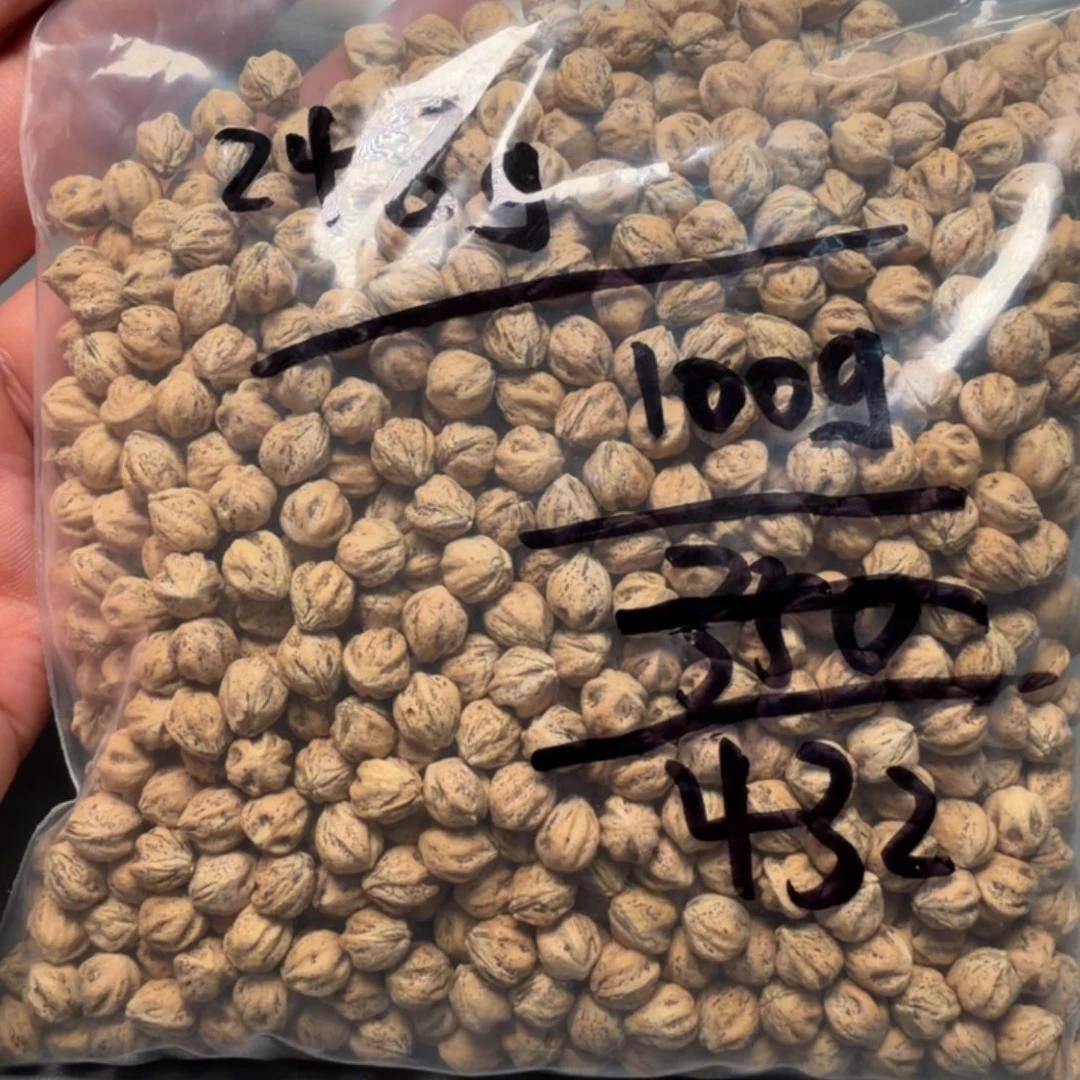 L***J吊坠柏香籽/百香籽