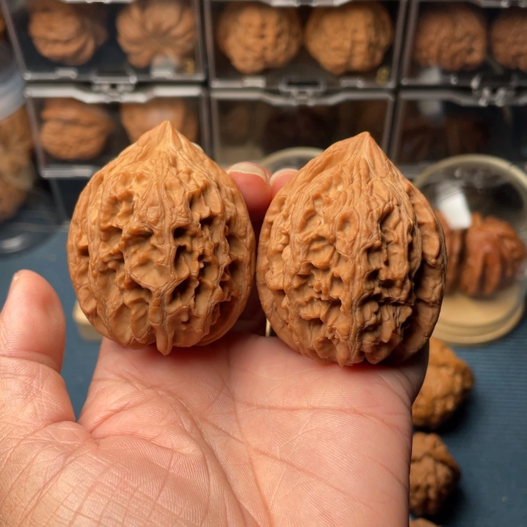 文玩核桃把件43+大沽石