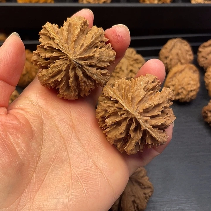 文玩核桃吊坠文安中学校长兼