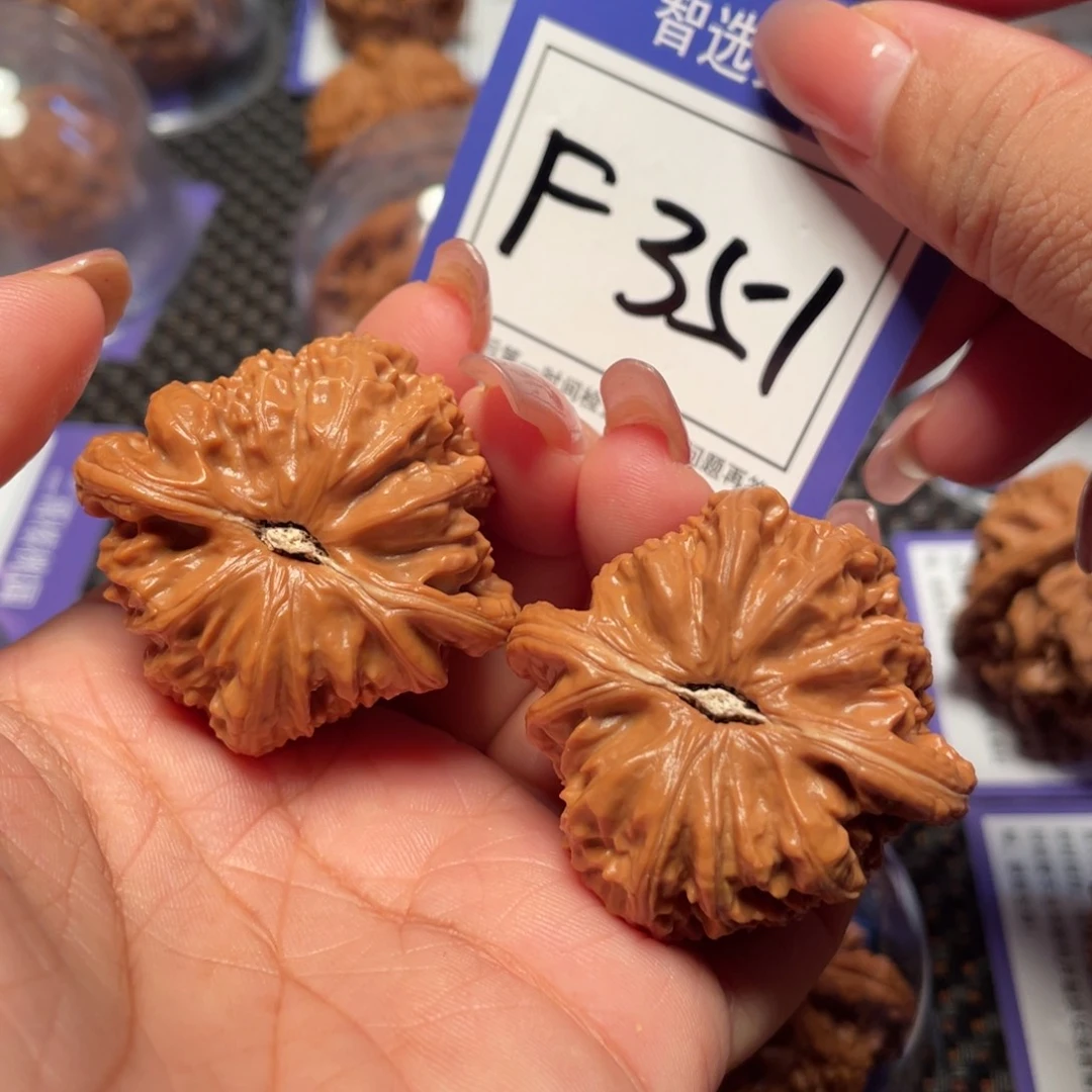 把件桃核351号白狮子41