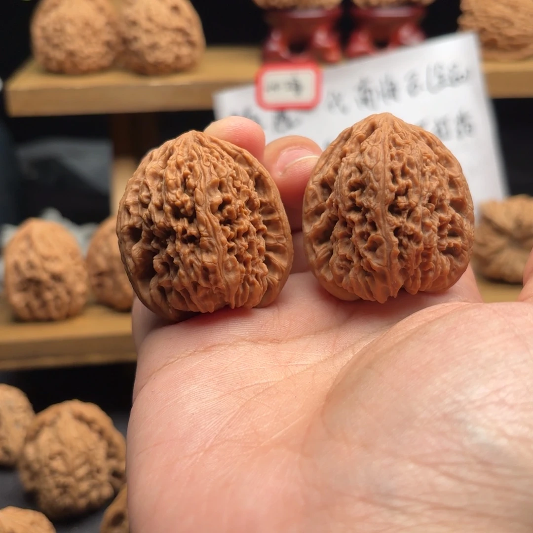 草***风核桃涿鹿南疆一代