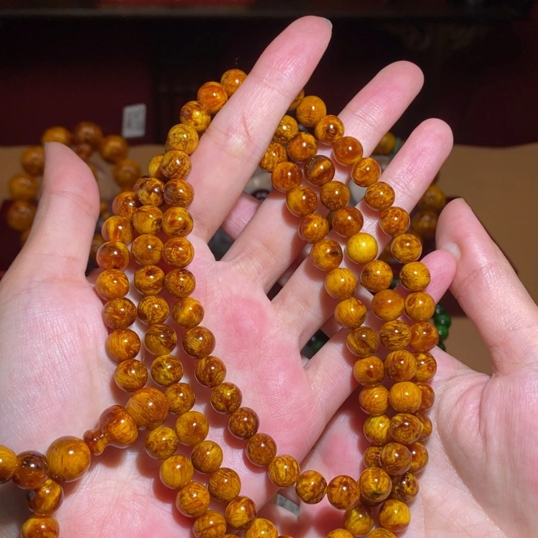 贝壳杉0.8/108 帝王血龙木瘤疤