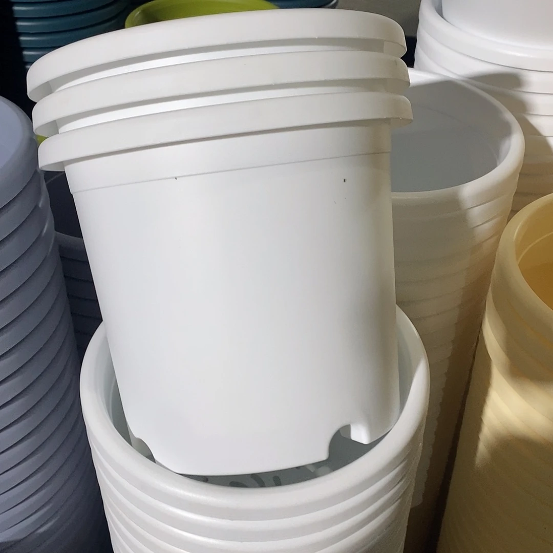 树脂四季4号纯白色10个无拖