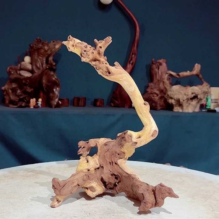 黑果木龙***笑178金丝红木羊蹄甲半成品