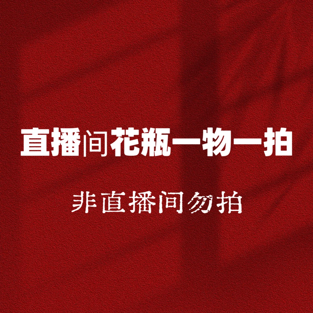 直播间花/花瓶一物一拍专拍