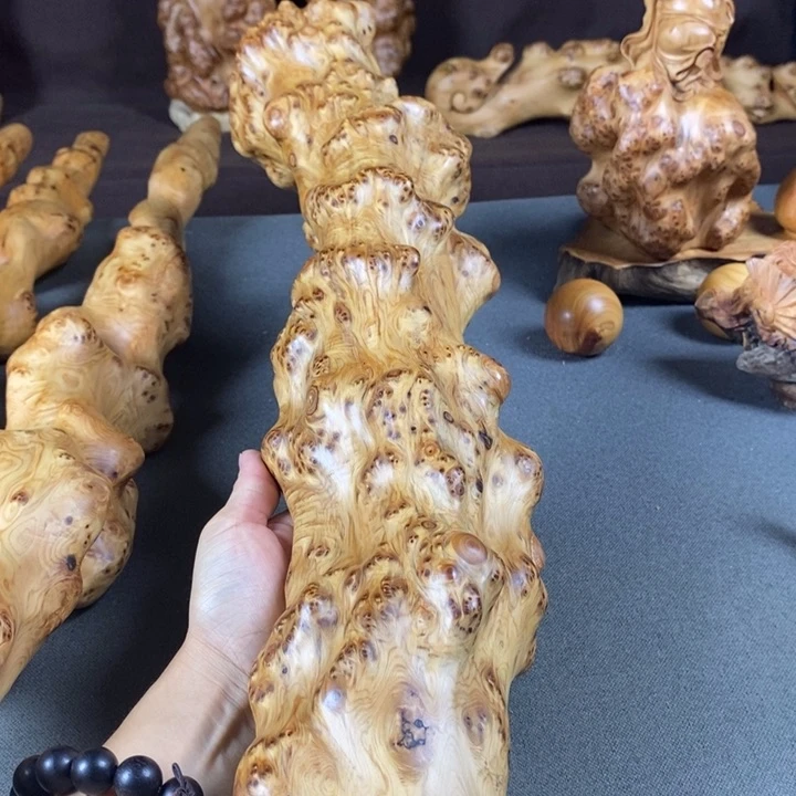 柏木（崖柏）z****i崖柏