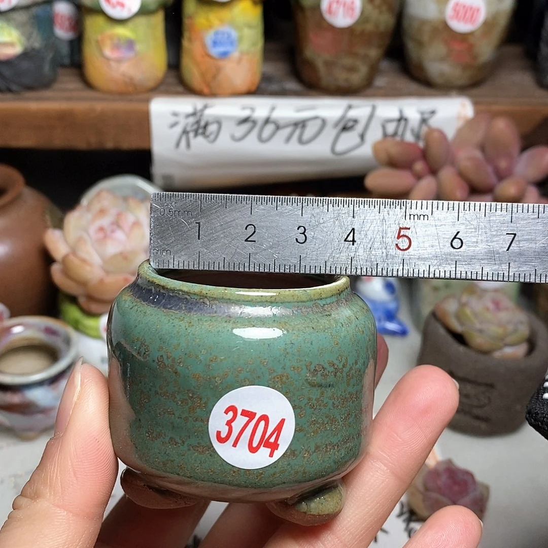 红陶拍5送一个小