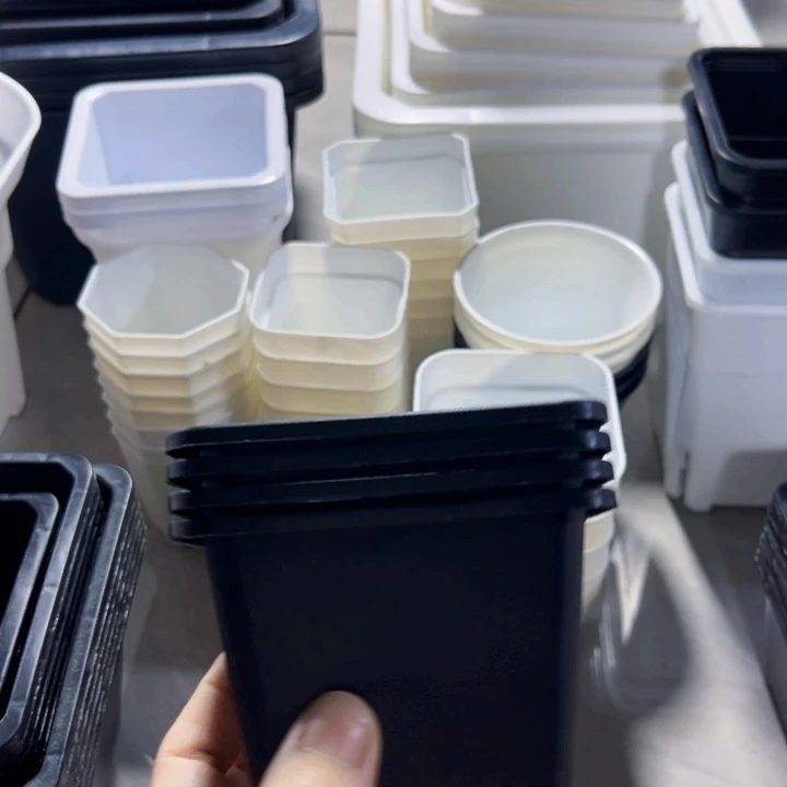 黑方口9高7 －组30