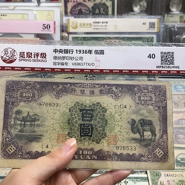 张***含指定2张。