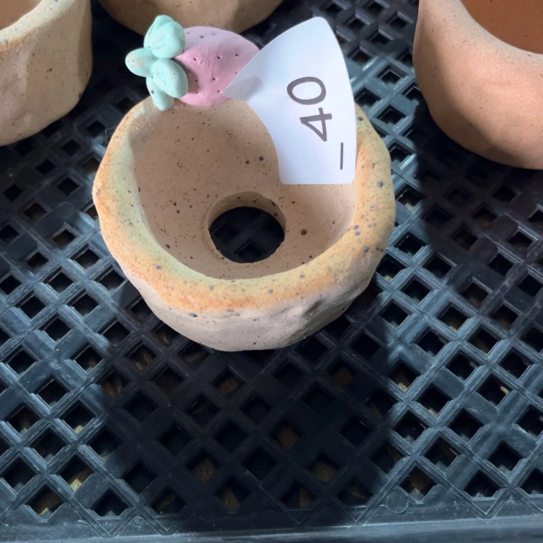 红陶m****茶40花盆1个