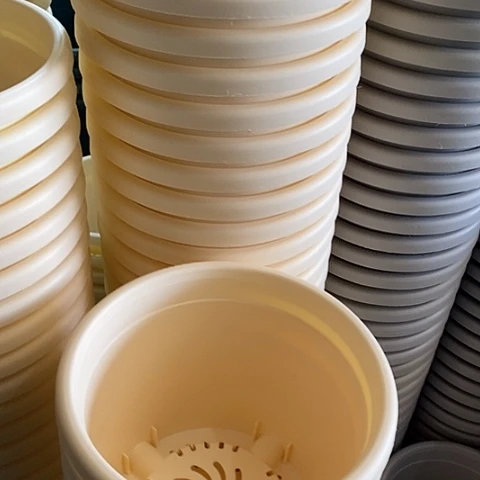 树脂四季3号米黄无托10个