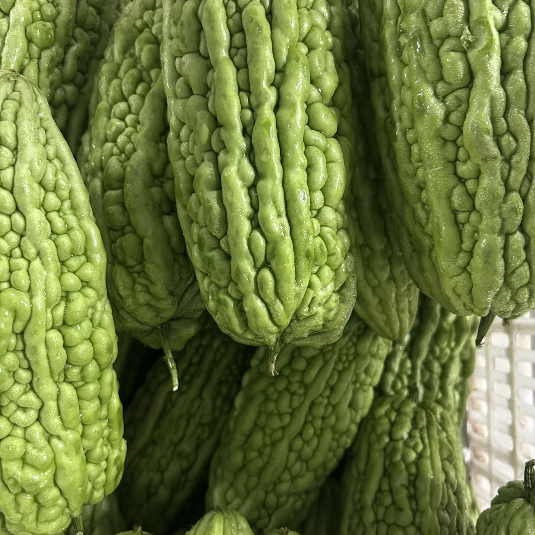 【顺丰包邮】潮汕本地新鲜大丁苦瓜农家菜现摘现发