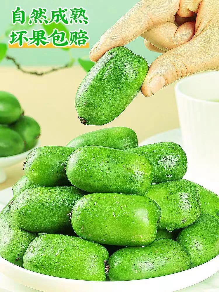 十月现摘丑果拍3斤赠送1斤JD正宗丹东软枣猕猴桃果产地直发