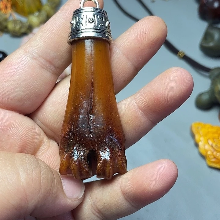 大果紫檀（缅甸花梨）