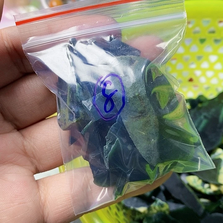 翡翠散珠天然翡翠A货