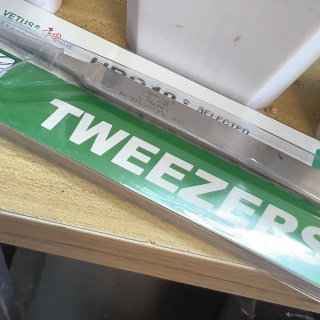 瑶*专拍专拍 肉锥植物