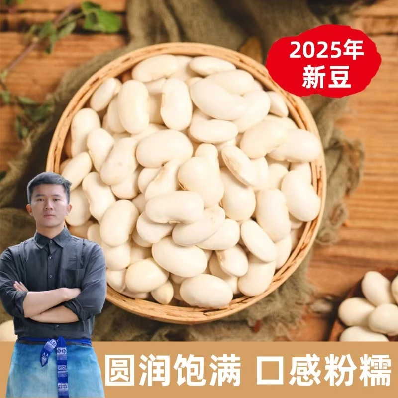 【大昌专属】 云南白芸豆大理剑川大白芸豆2025年新货