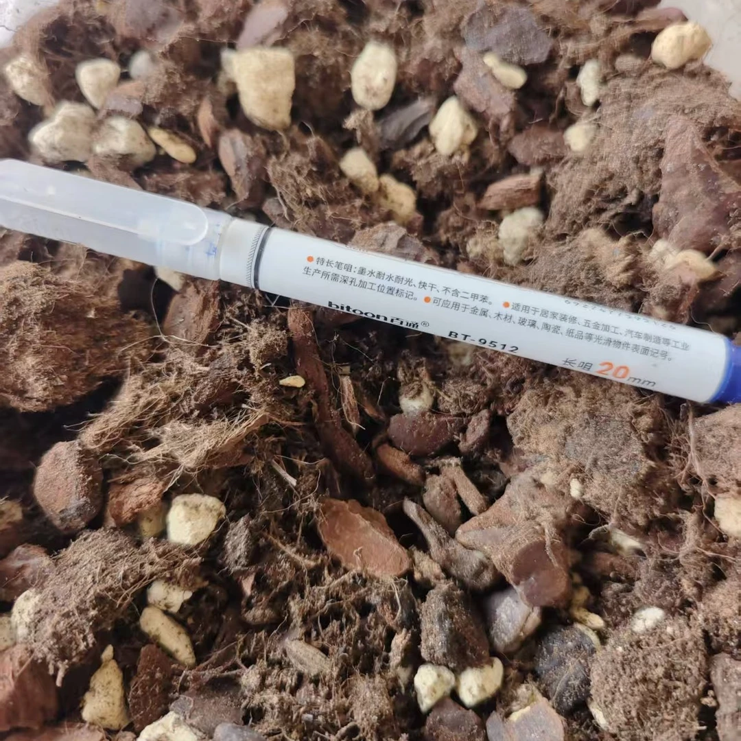 蝴蝶兰懒人专用营养植料不拆水苔易生根好浇水