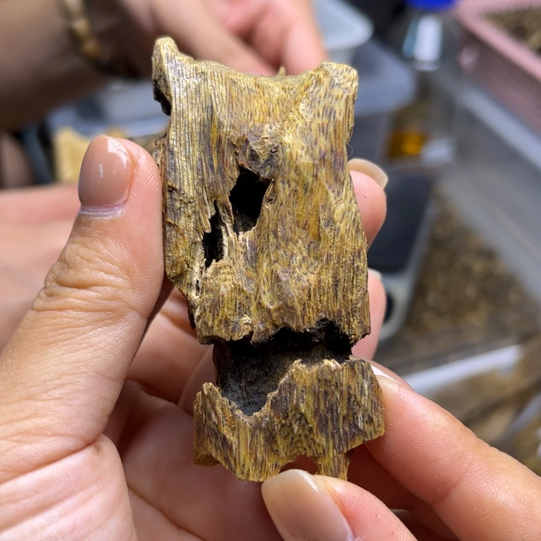 沉香碎屑沉香奇楠沉香熏香白棋虫漏15克